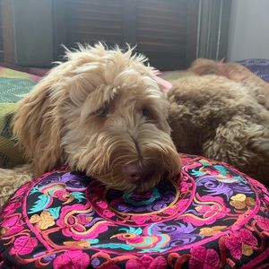 Meet your Posher, Ana